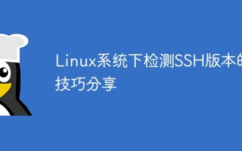 分享在Linux系统中检测SSH版本的方法