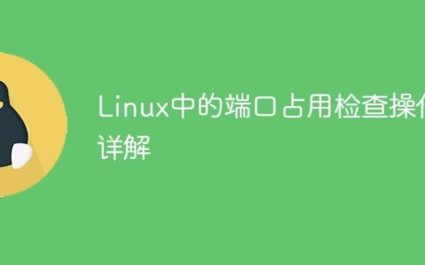 Linux中的端口占用检查操作详解