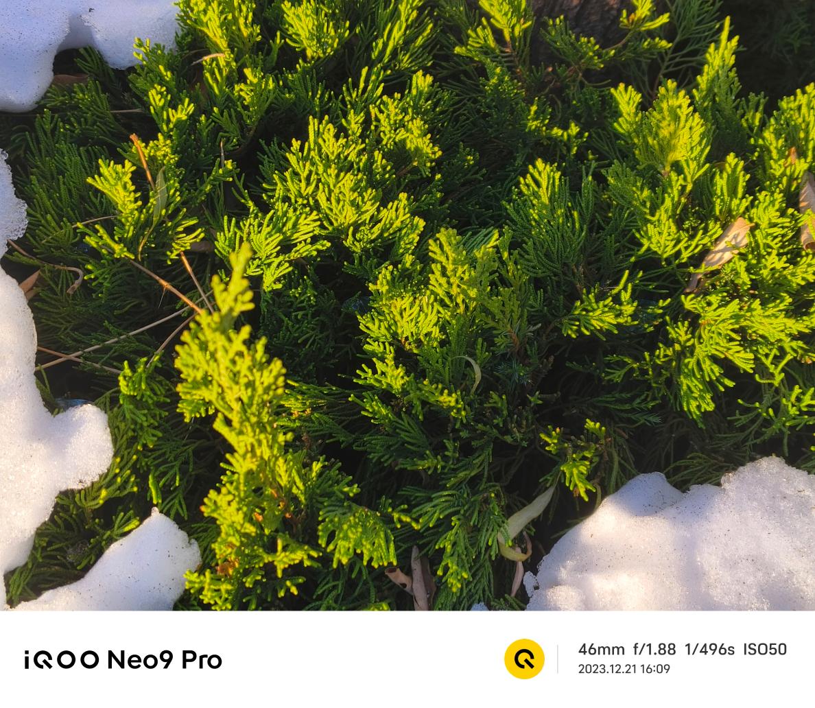 iQOO Neo9 Pro评测:内外兼顾 焕然一新