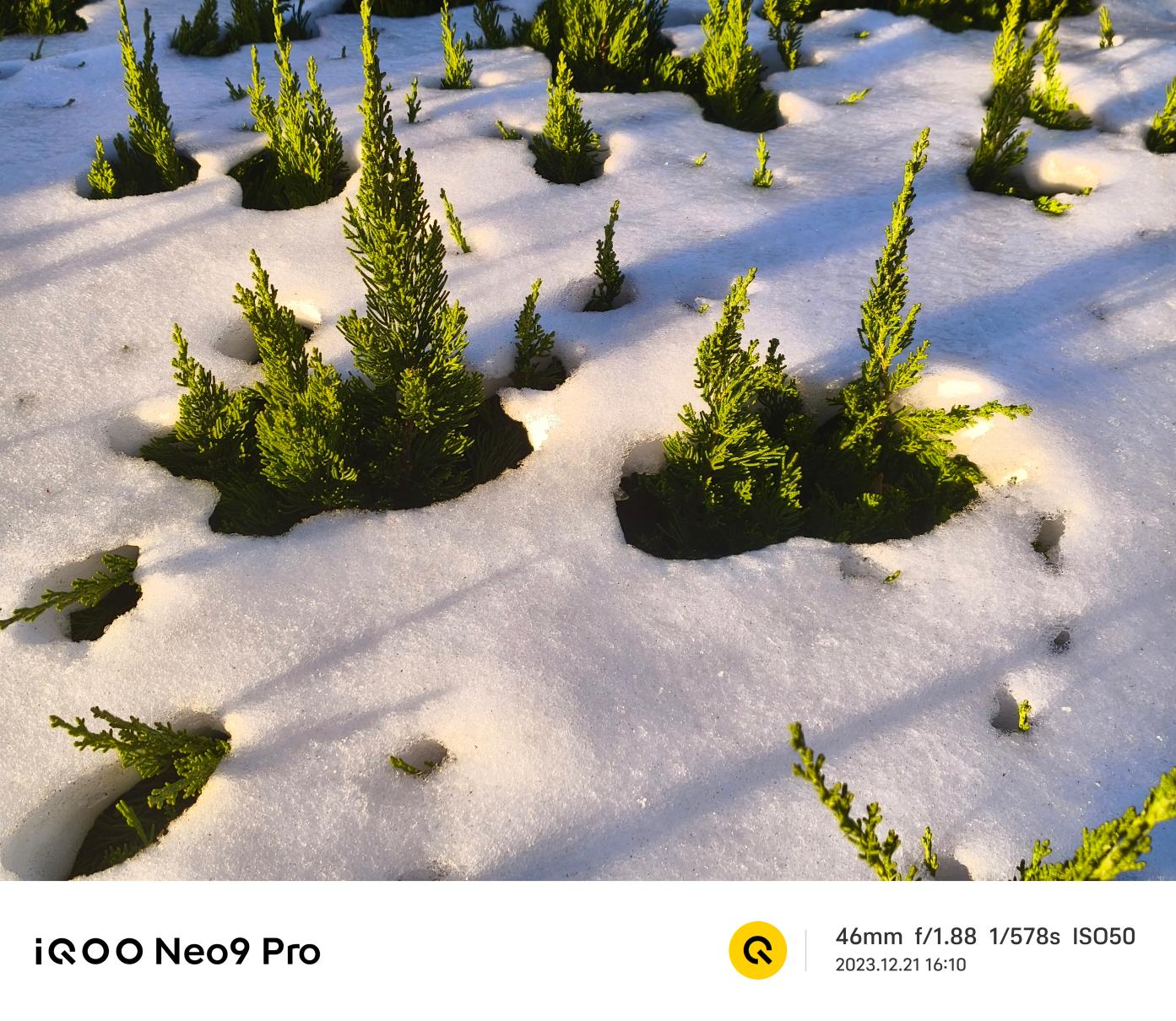 iQOO Neo9 Pro评测:内外兼顾 焕然一新