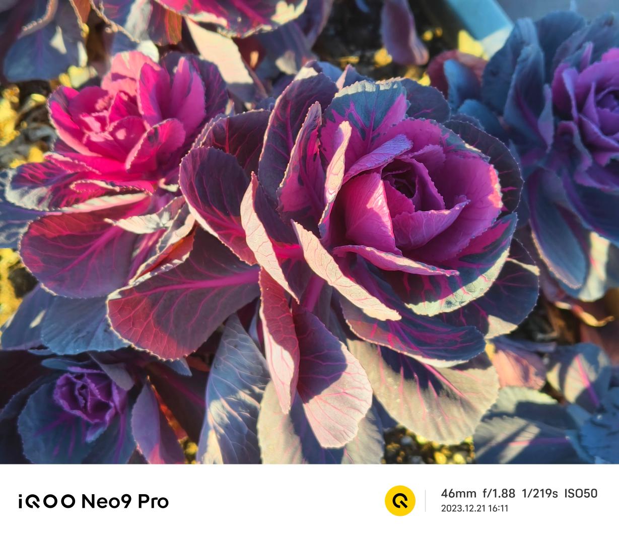iQOO Neo9 Pro评测:内外兼顾 焕然一新