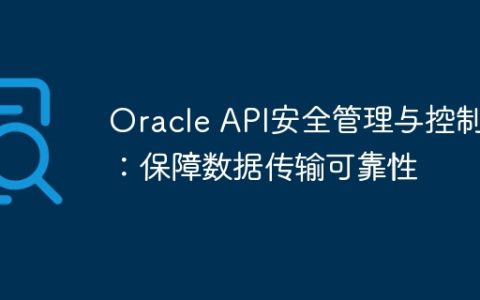 Oracle API安全管理与控制：保障数据传输可靠性