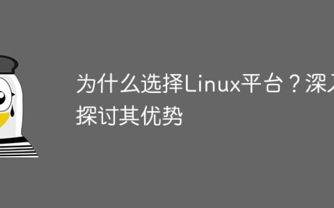 为什么选择Linux平台？深入探讨其优势
