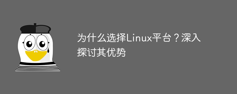 为什么选择linux平台?深入探讨其优势
