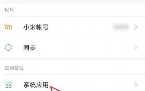 小米11怎么设置自动接听电话_小米11设置自动接听电话教程