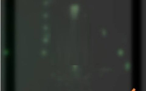 华为运动健康锁屏显示步数怎么设置_华为运动健康锁屏显示步数设置教程