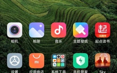 小米12桌面图标大小在哪里设置_小米12桌面图标大小的设置方法