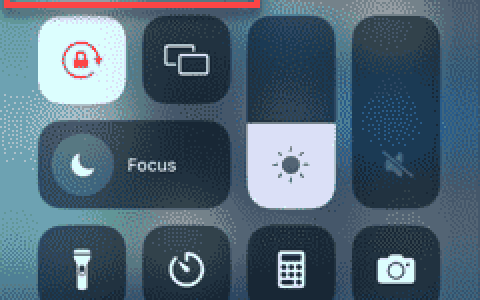 WhatsApp验证码未获取iPhone：修复