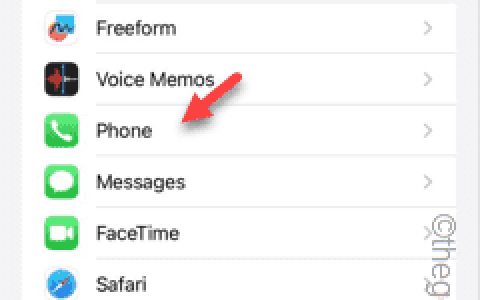 WiFi通话在iPhone上不起作用：修复