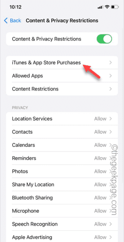 删除iPhone中缺少的应用程序选项:修复