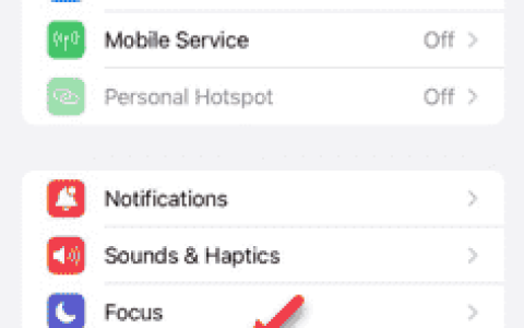 删除iPhone中缺少的应用程序选项：修复
