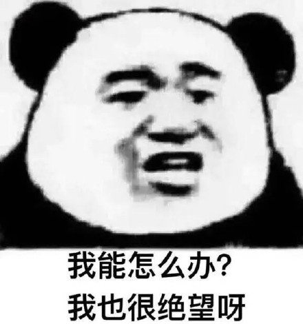 百元AI手机大战万元旗舰:AI能力有差距,但差得不多