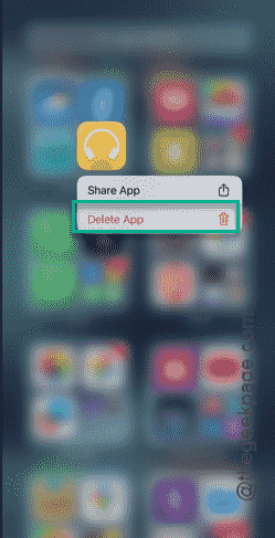 应用程序无法在iPhone上加载:如何修复