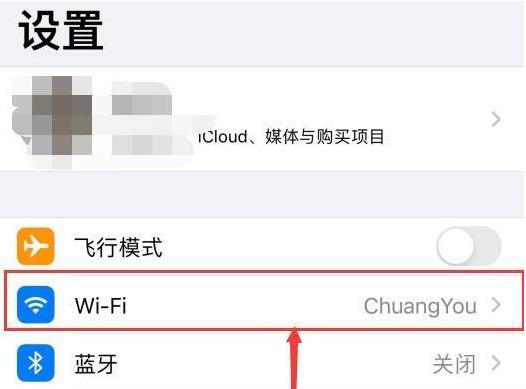ios14连上wifi却上不了网怎么办 ios14连接wifi无法上网解决方法一览