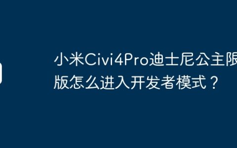 小米Civi4Pro迪士尼公主限定版怎么进入开发者模式？