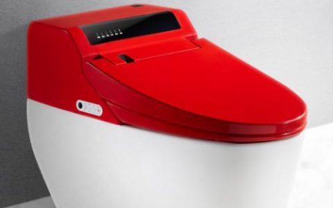 自动马桶选购指南（选择适合家庭使用的高品质自动马桶）