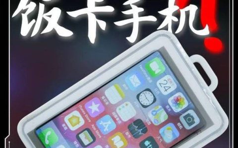 iPhone5s 爆改饭卡手机 摸鱼神器？