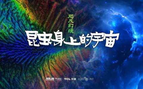 华硕电脑助力超微昆虫摄影展 领略 35 亿像素下的昆虫之美