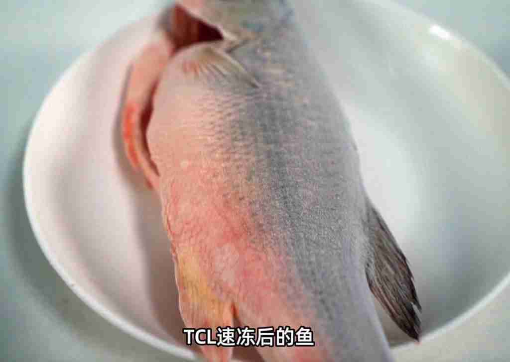 TCL T9 Pro 冰箱评测:双系统革新,真平嵌新潮流,质价比震撼