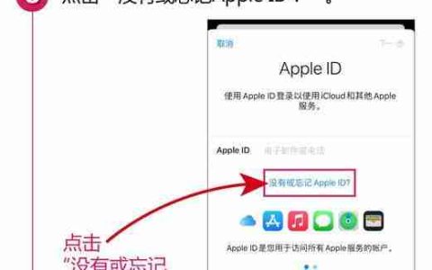 如何解决无法验证AppleID账户的问题（解决AppleID账户验证问题的方法和技巧）