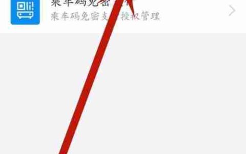 手机支付宝免密功能使用指南（安全便捷的支付方式）