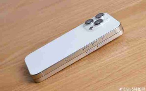 vivoX200 Pro mini 真机侧边亮相：看完真想买