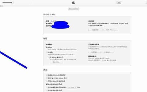重新配对AppleWatch手表与新手机的步骤（简单易行的AppleWatch手表重新配对新手机教程）
