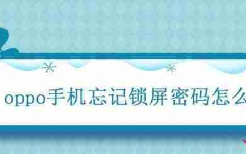 忘记手机锁屏密码怎么办（解决手机锁屏密码忘记的有效方法）