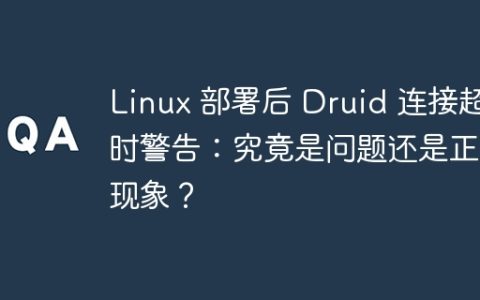 Linux 部署后 Druid 连接超时警告：究竟是问题还是正常现象？
