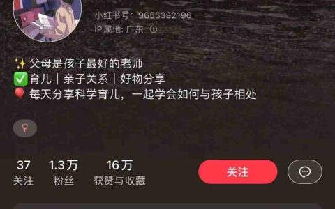 在小红书上卖动画片，赚了30w+