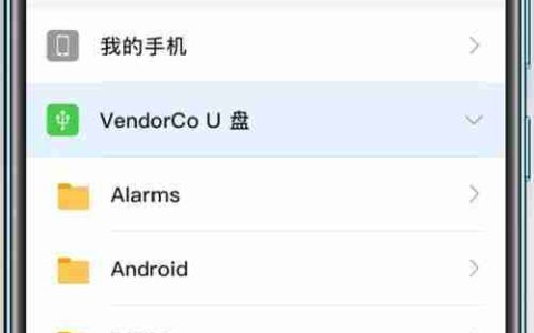手机U盘无法读取的解决方法（手机U盘识别问题及解决方案）