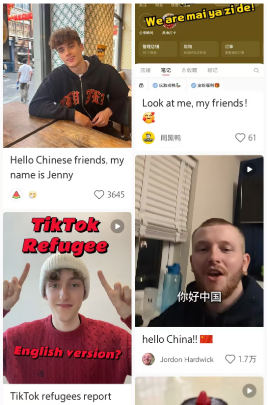 大批美国难民入侵小红书,第一批受害者笑疯!