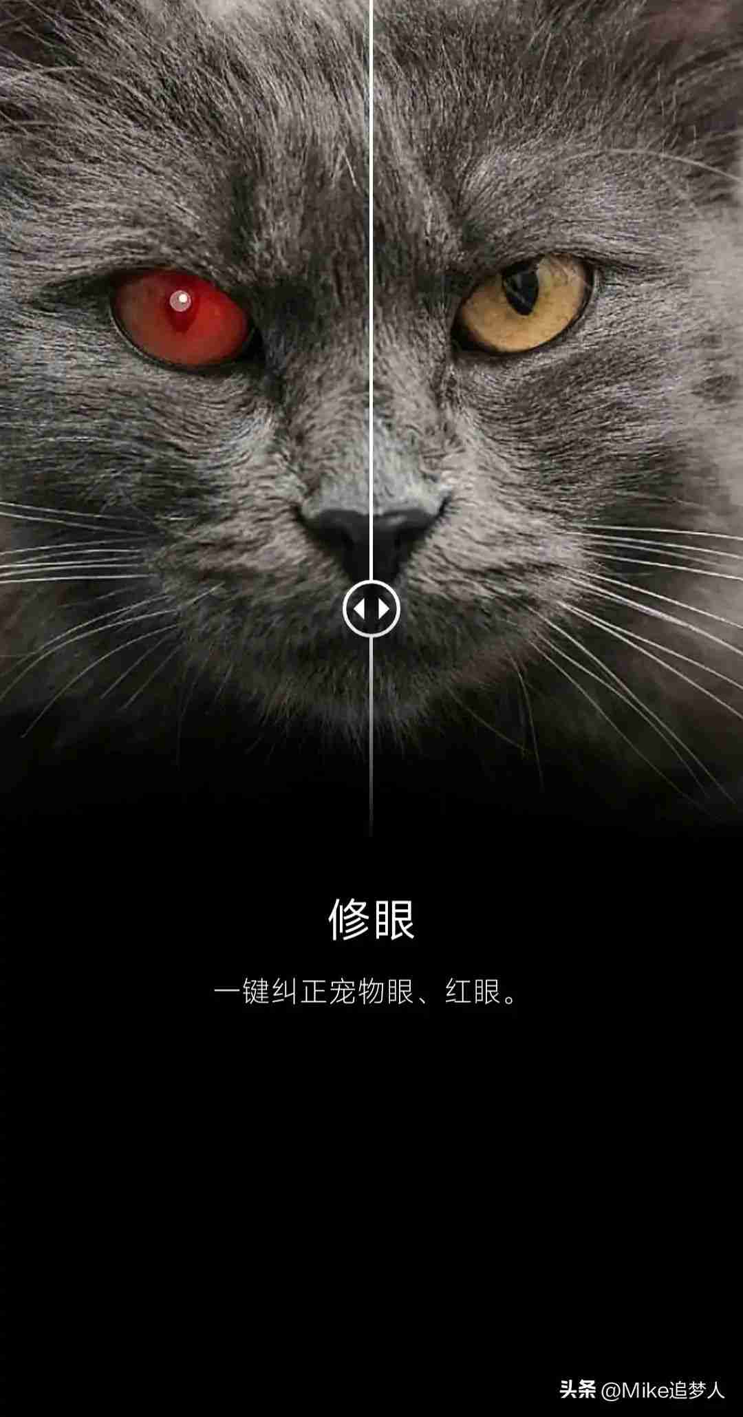 图像编辑软件手机版(好用的照片编辑app是哪个)
