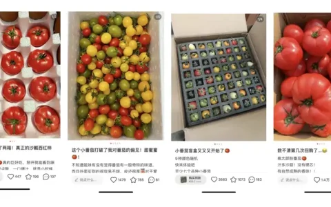 小红书运营的秘密——跑量模版