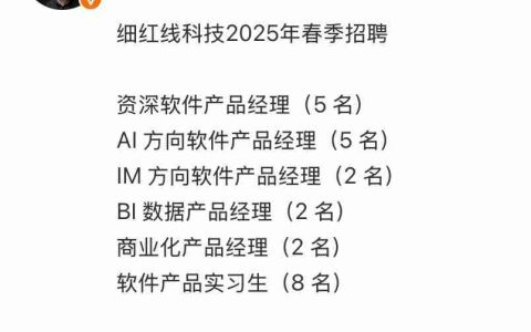 罗永浩的AI新战场