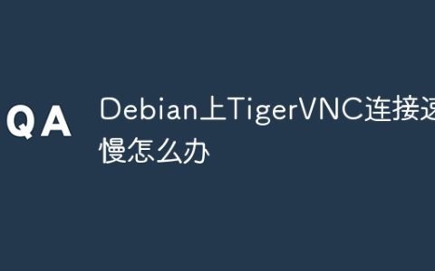 Debian上TigerVNC连接速度慢怎么办