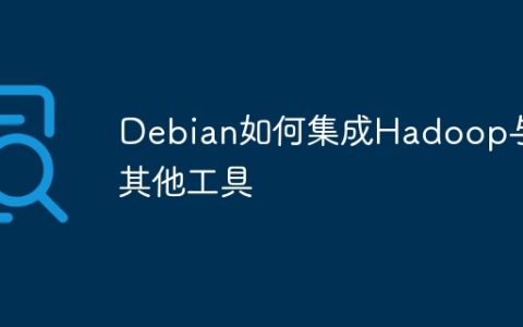 Debian如何集成Hadoop与其他工具