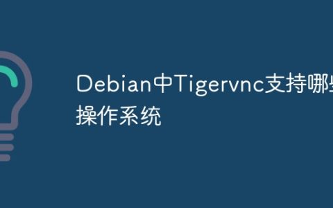 Debian中Tigervnc支持哪些操作系统