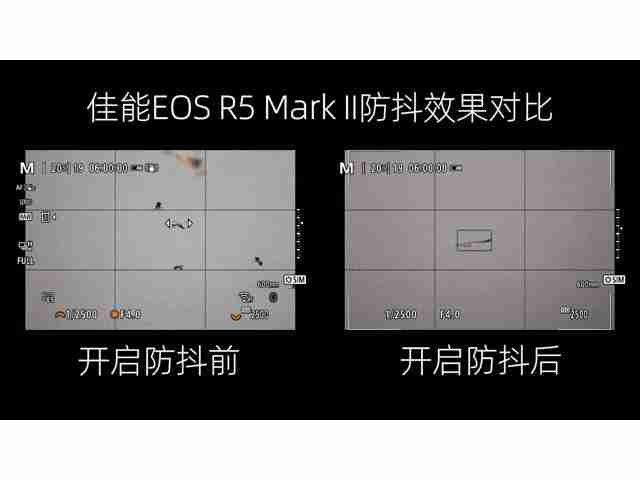 飞羽淬光 佳能 EOS R5 Mark II 生态摄影深度体验
