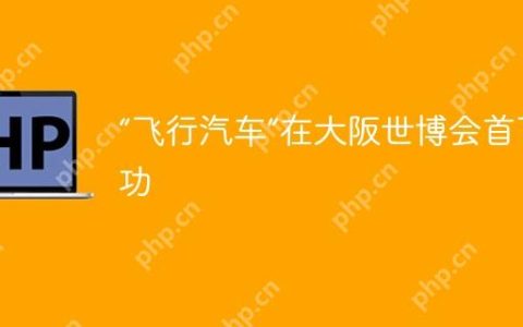 “飞行汽车”在大阪世博会首飞成功