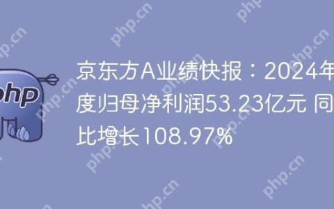 京东方A业绩快报：2024年度归母净利润53.23亿元 同比增长108.97%