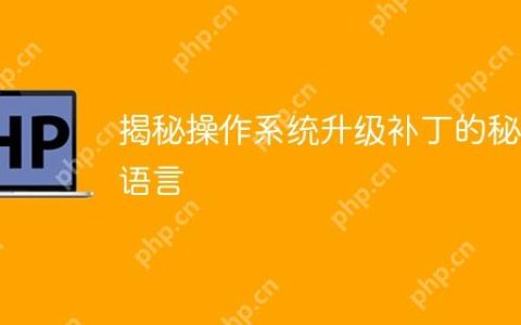 揭秘操作系统升级补丁的秘密语言