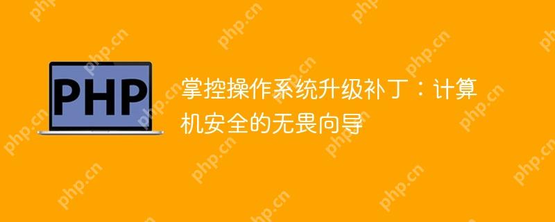 掌控操作系统升级补丁:计算机安全的无畏向导