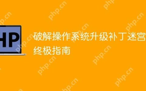 破解操作系统升级补丁迷宫：终极指南