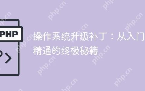 操作系统升级补丁：从入门到精通的终极秘籍