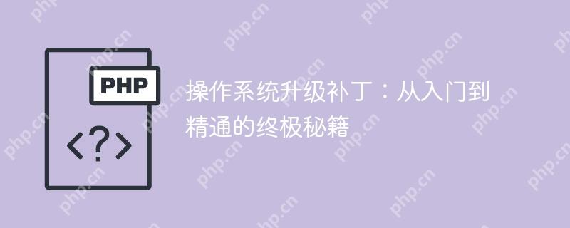 操作系统升级补丁:从入门到精通的终极秘籍