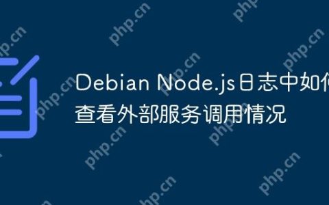 Debian Node.js日志中如何查看外部服务调用情况