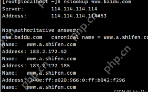 在 Linux 中使用 nslookup命令