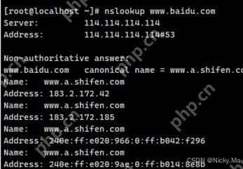 在 Linux 中使用 nslookup命令