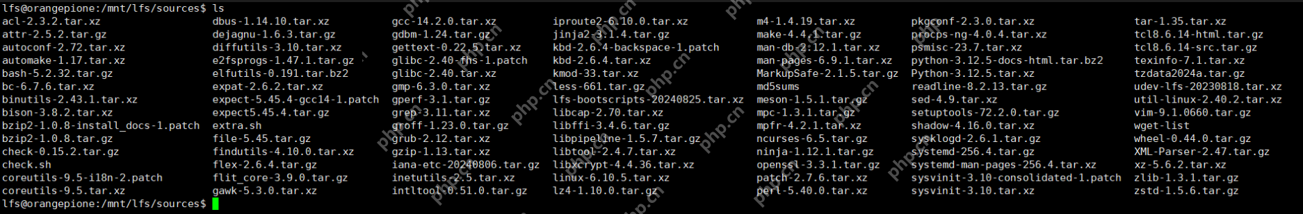 【从0构建Linux系统/LFS】环境配置及软件包与补丁的安装